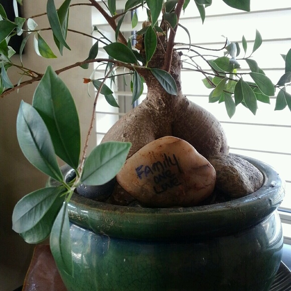 Meet your Posher, Andrea - Picture 1 of 1